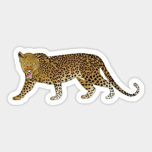 Wild Leopard Panther Sticker